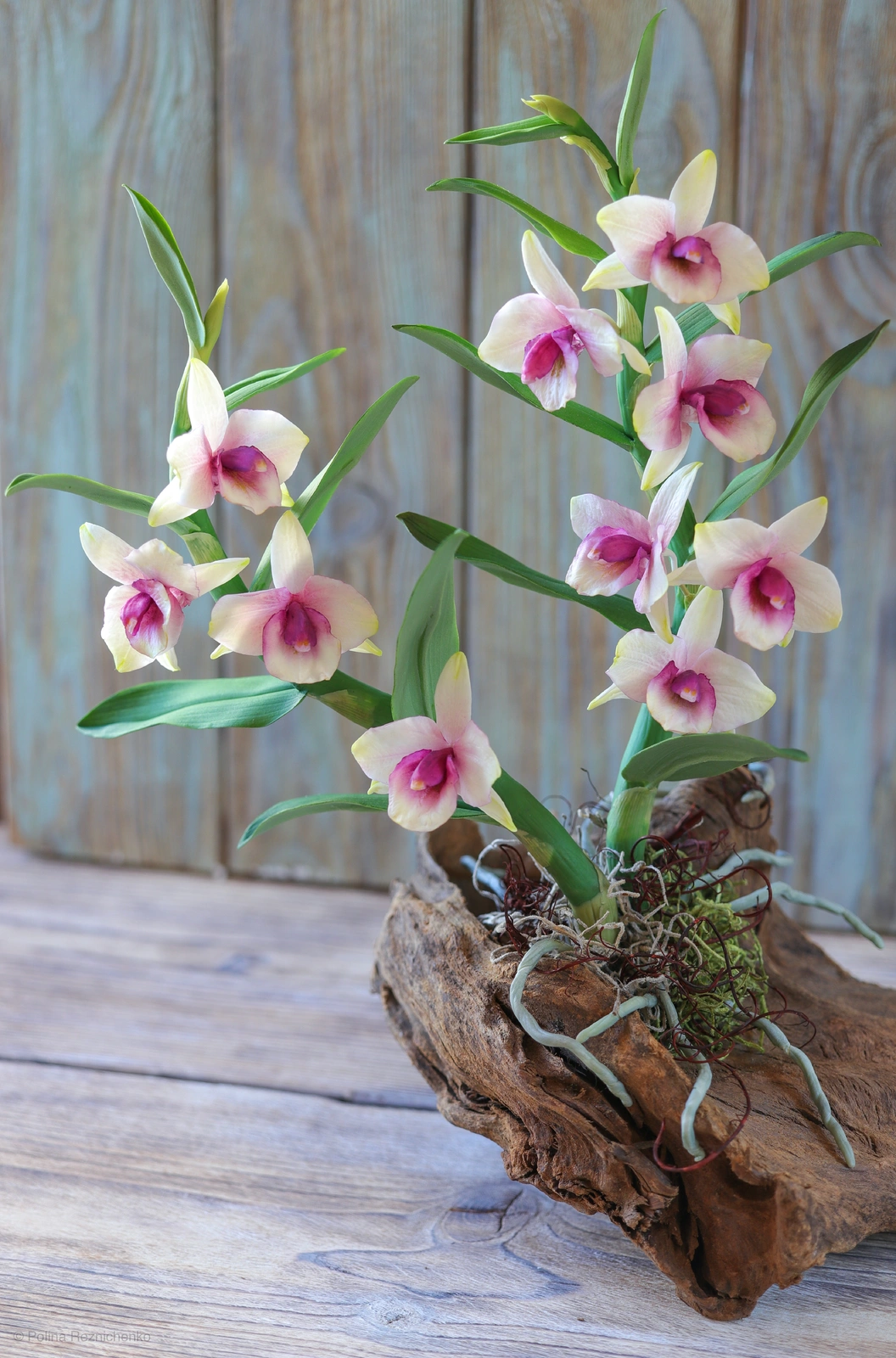Skulptur Dendrobium Nobile Orchid made from Japanese air-dry polymer clay. av Polina Reznichenko
