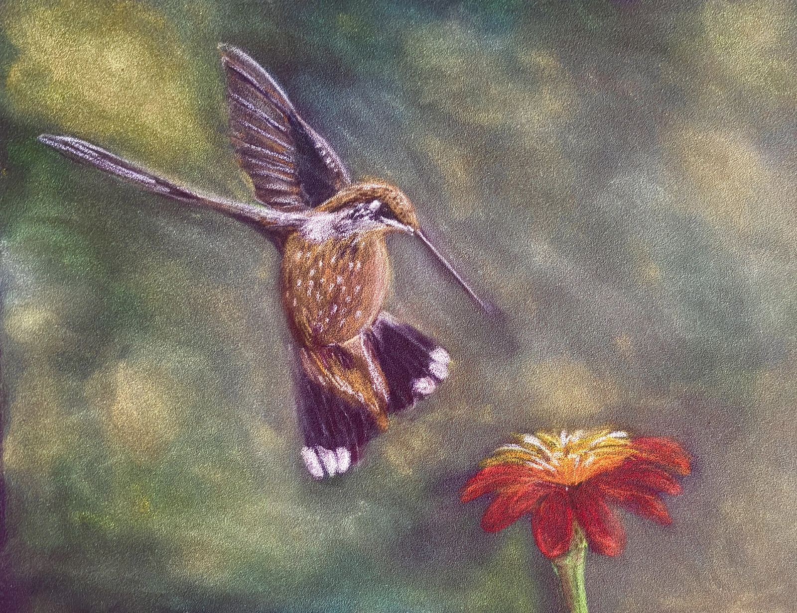 Birgitta Andersson
