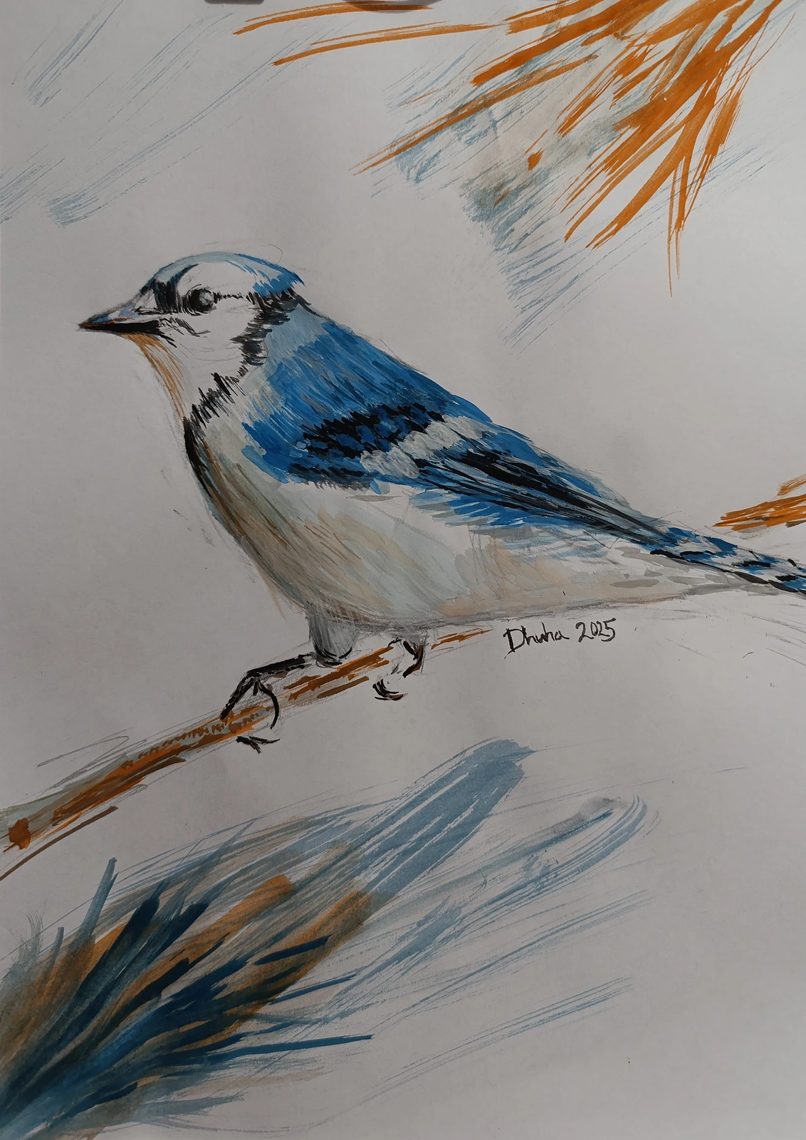 Akvarell Blue Jay av Dhuha