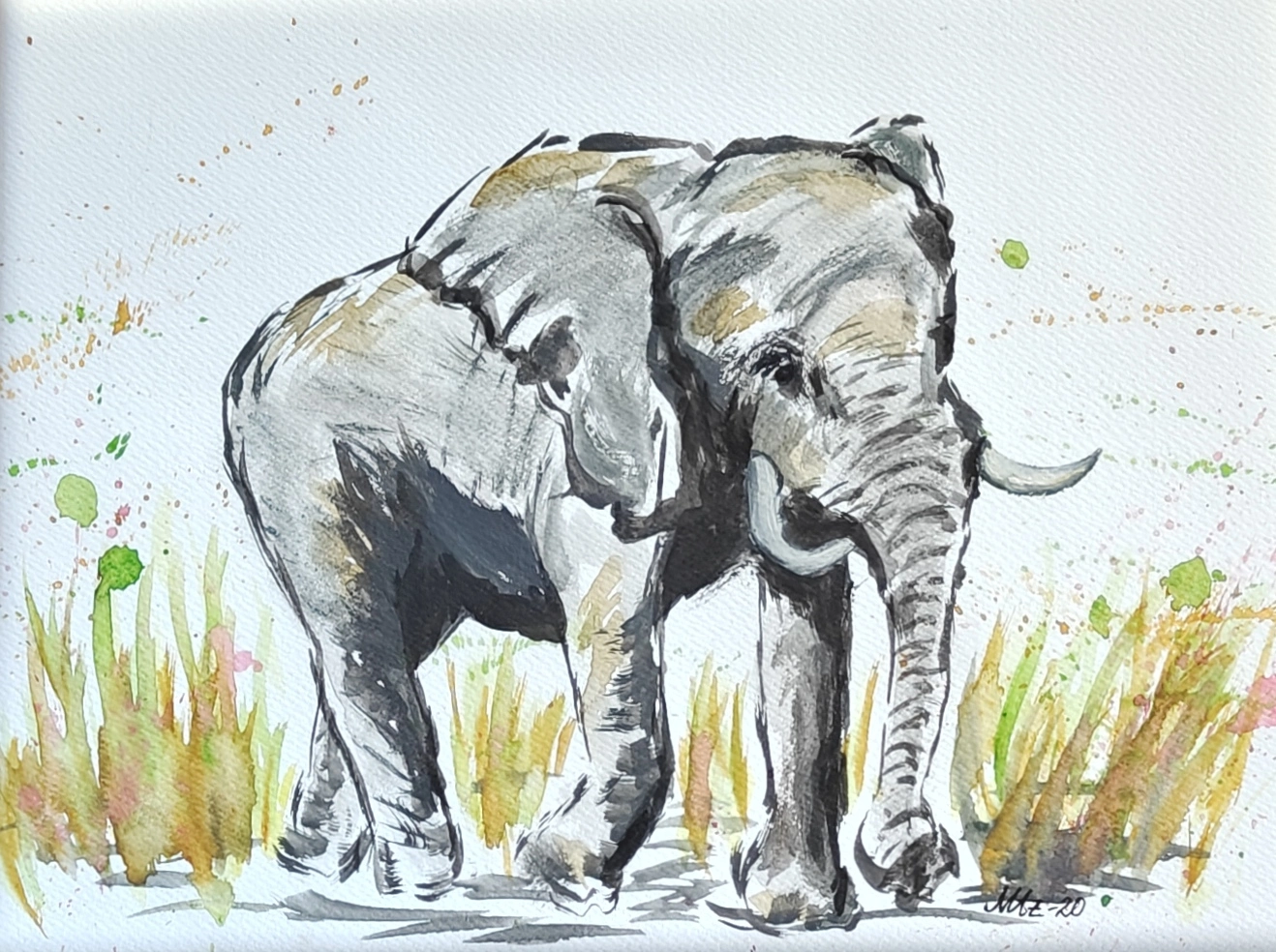Akvarell Elefant av Maria Anderzén