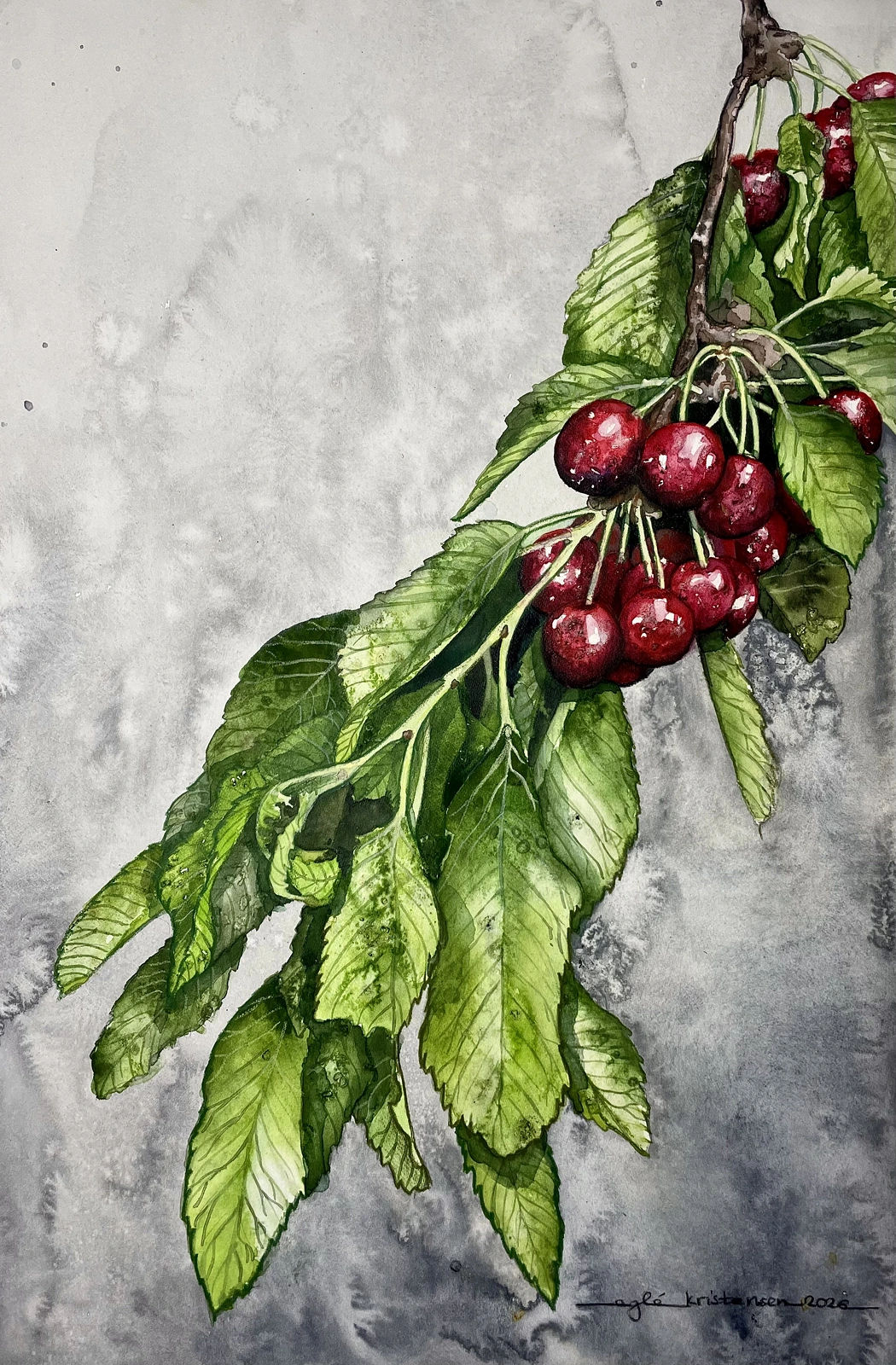 Akvarell Körsbär - Cherries av Egle Kristensen
