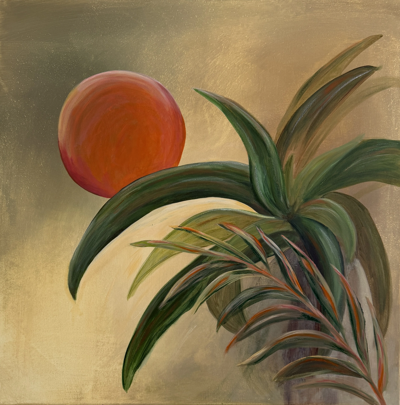 Jeanette Ringwall