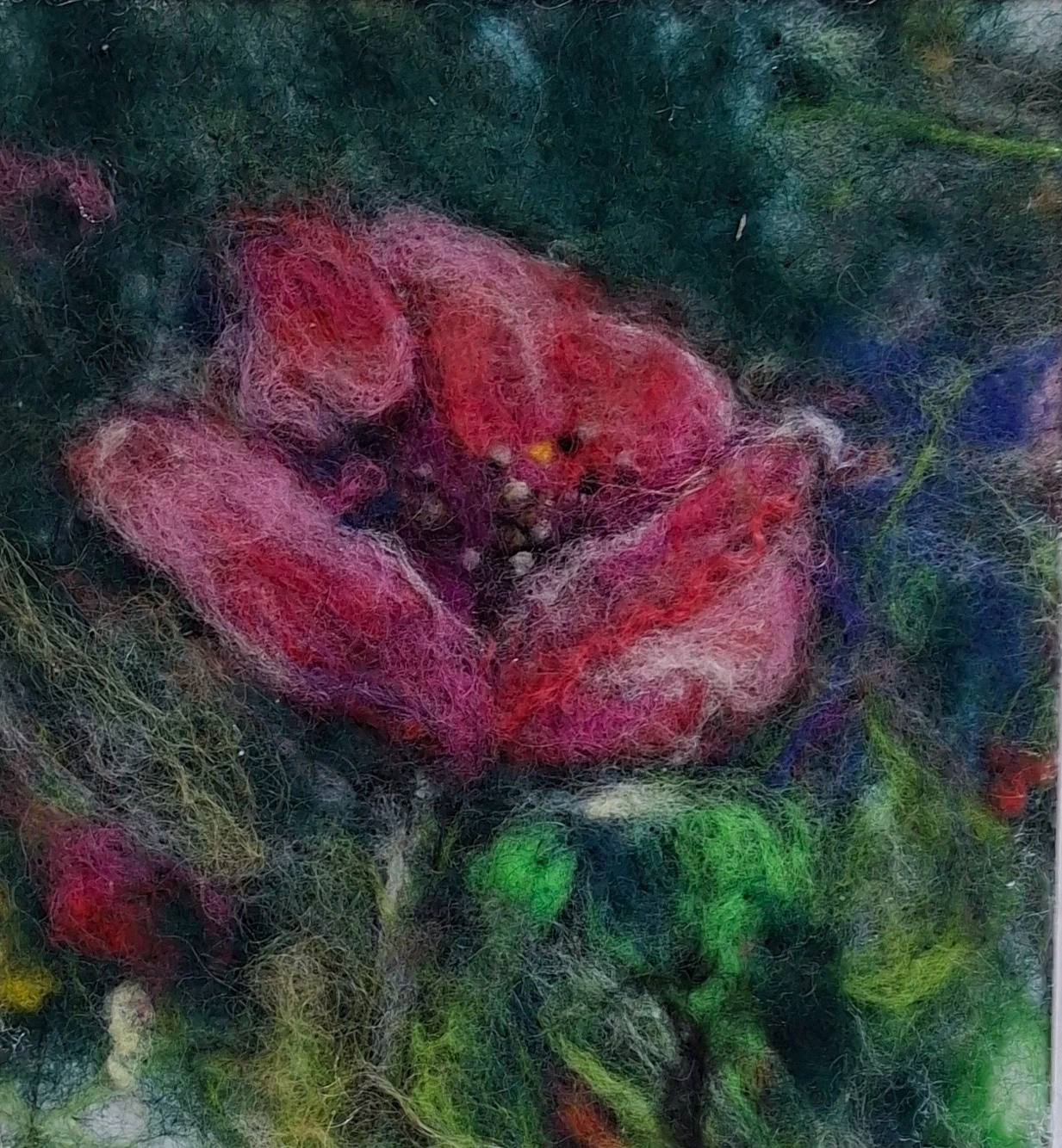 Vallmo av Lisette Friberg