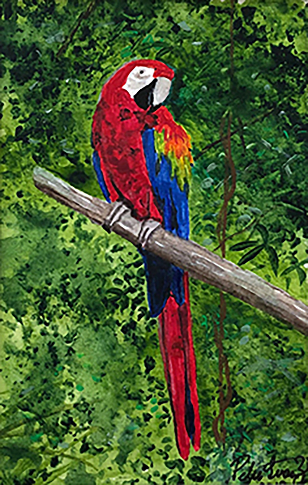 Akvarell Rainforest Ara 3 av Peter Suárez
