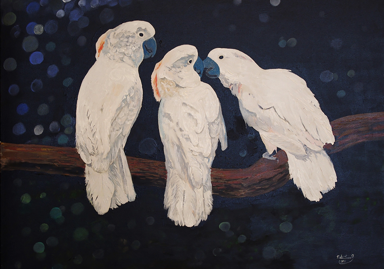 Akrylmålning Rainforest Cockatoos av Peter Suárez