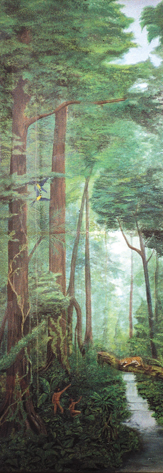 Rainforest Under the treetops av Peter Suárez