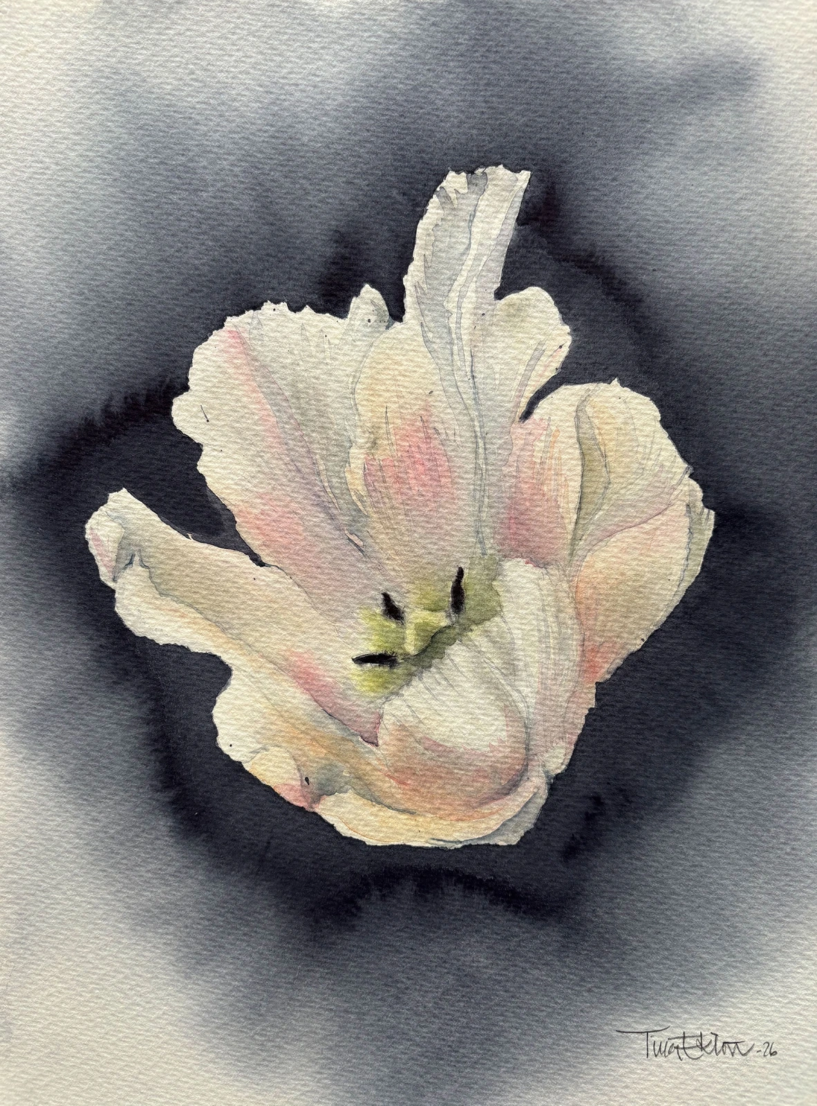 Akvarell Tulip av Tina Eklöv
