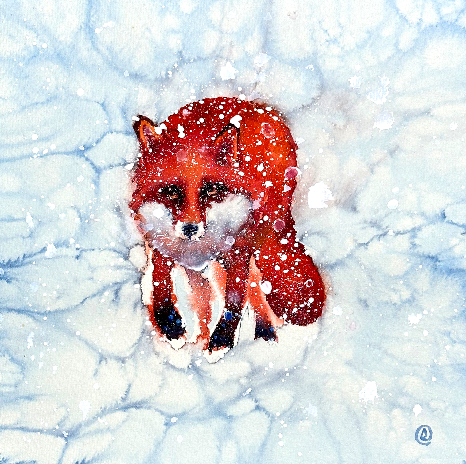 Akvarell Räv i snöyra av Daniel Luther
