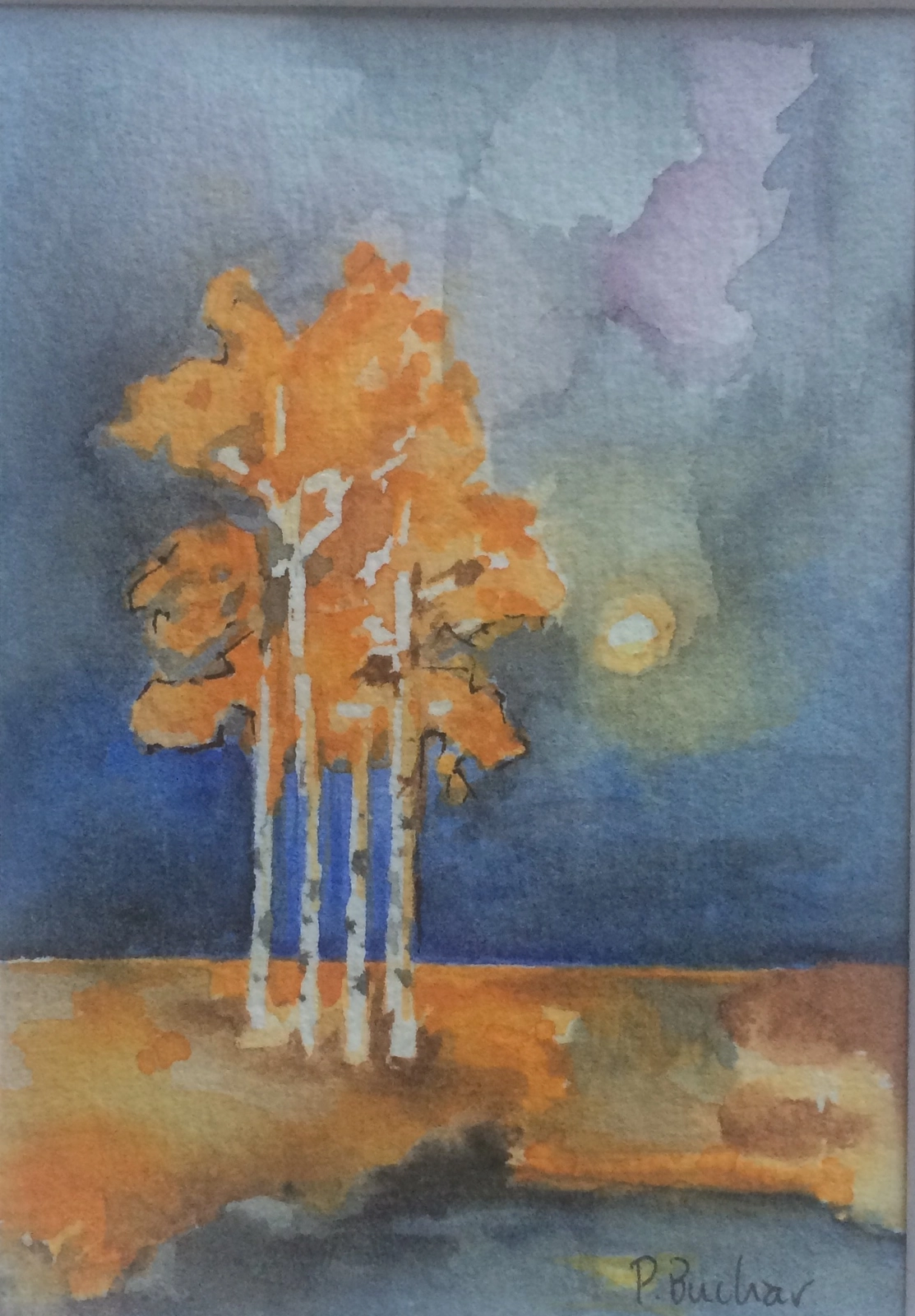 Peter Buchar