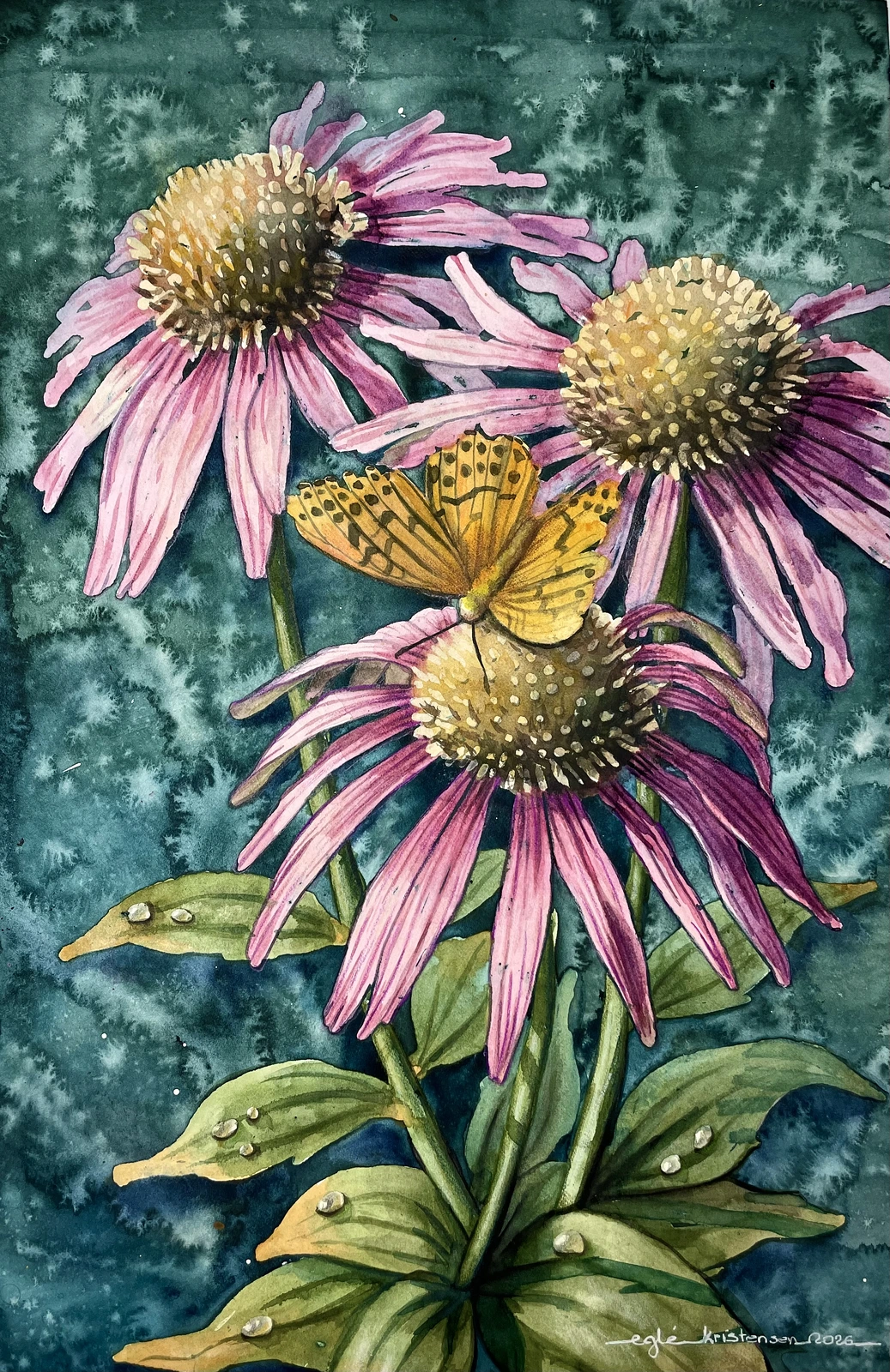Akvarell Echinacea av Egle Kristensen