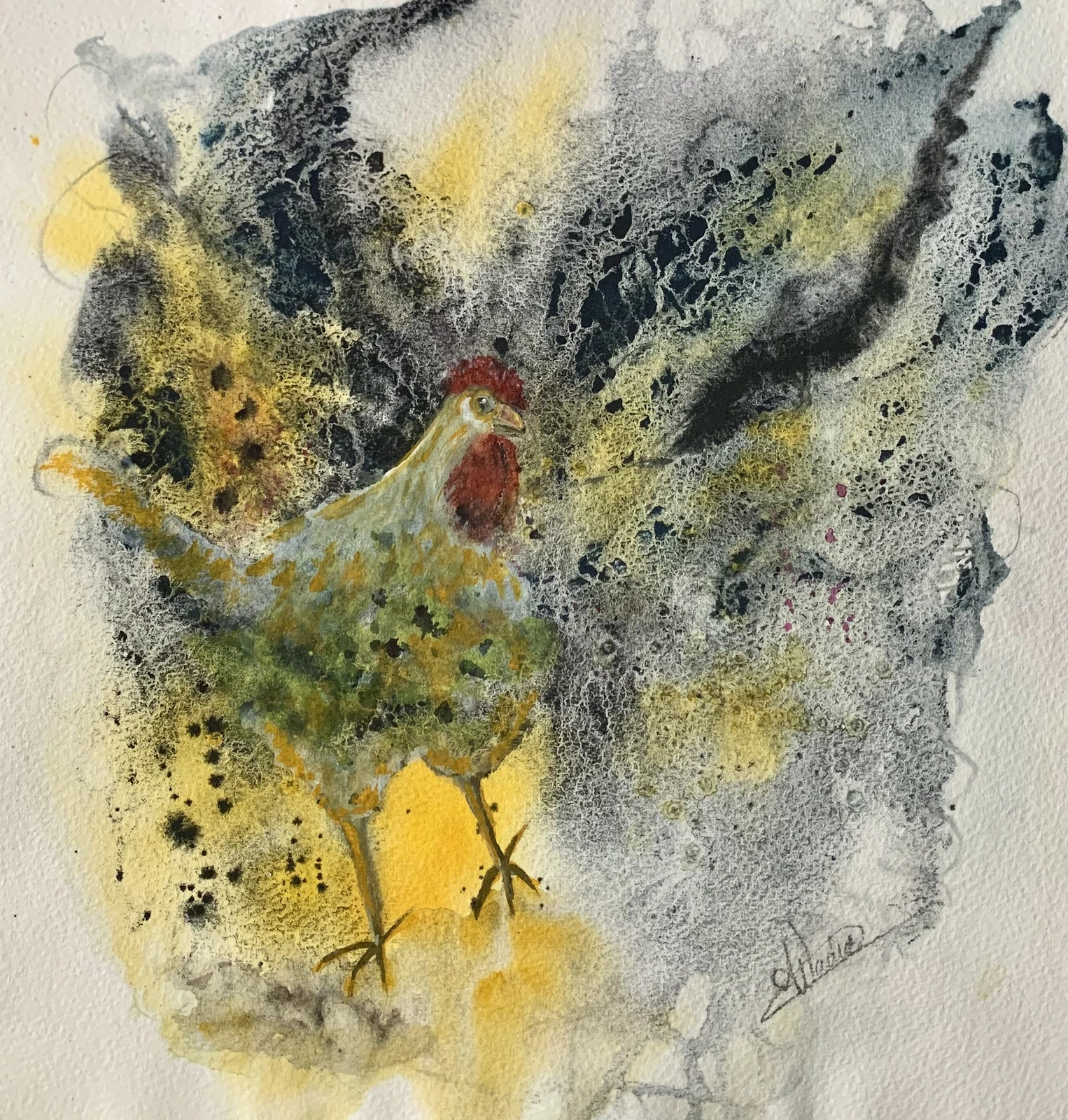 Akvarell Cockerel av Annelie Wadin