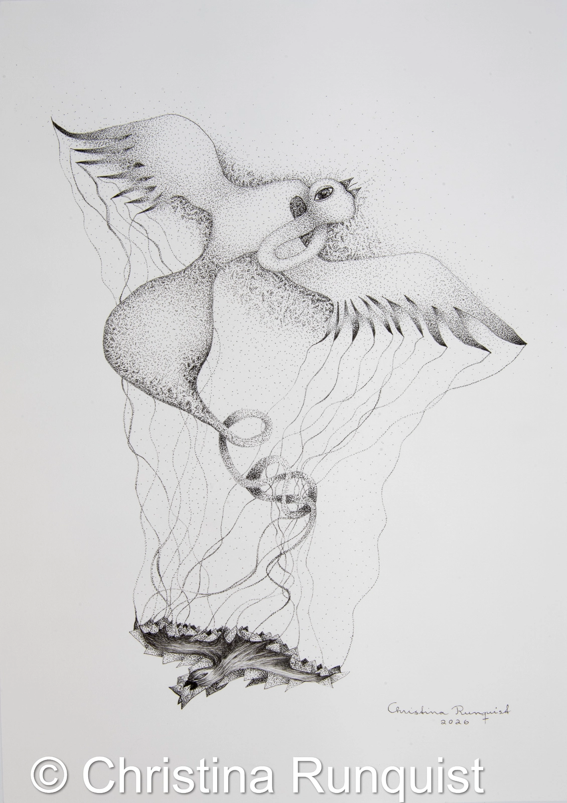 Phoenix av Christina Runquist