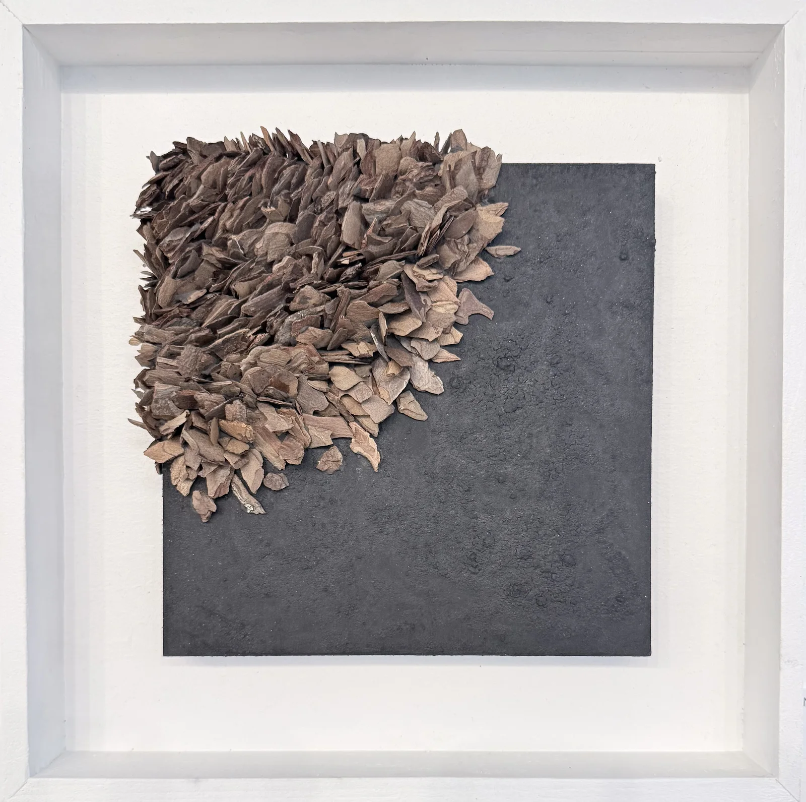 Nature in a Square - Brown av Carmen Paas