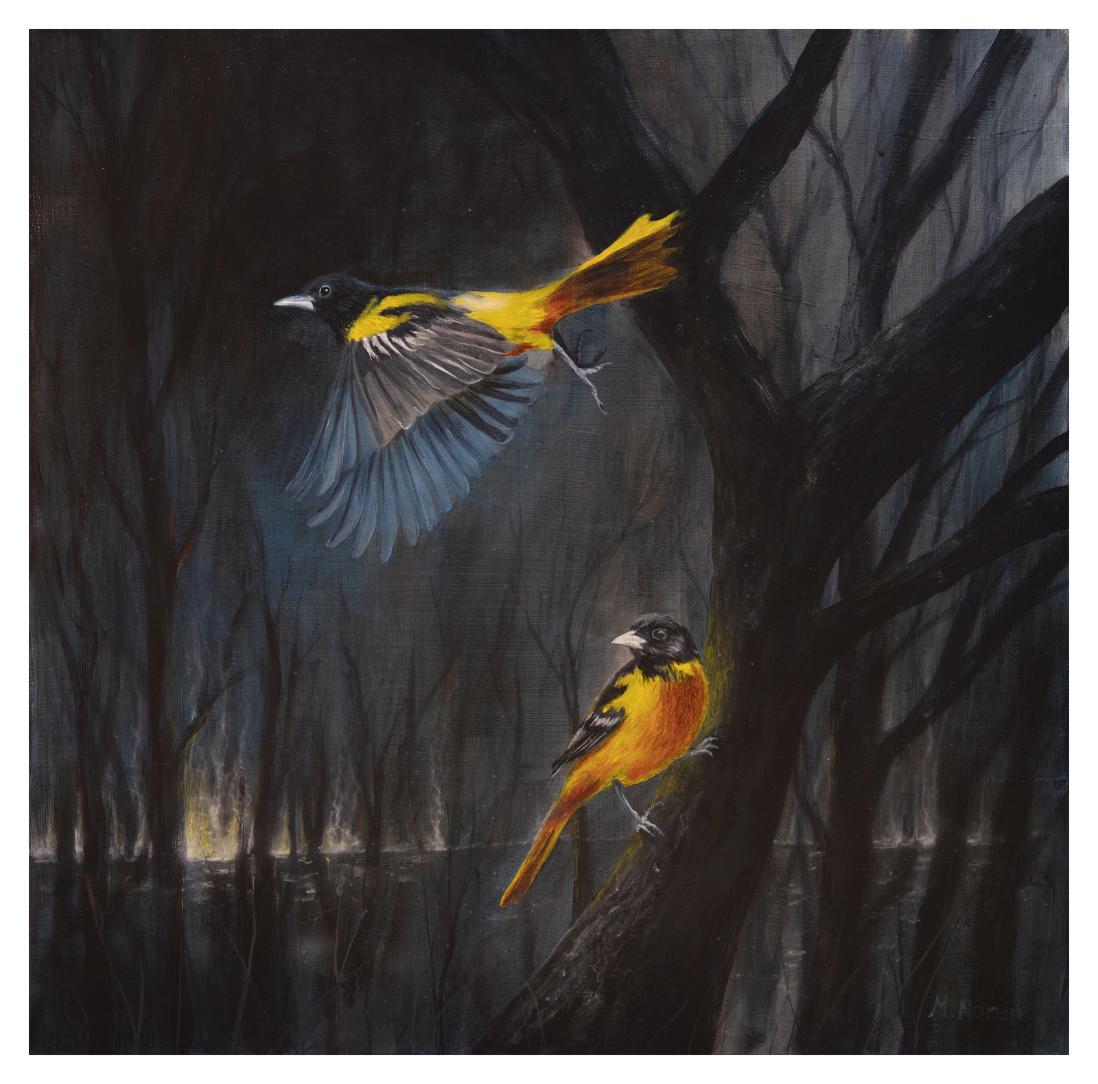 Akrylmålning Birds of fire av Mattias Norén