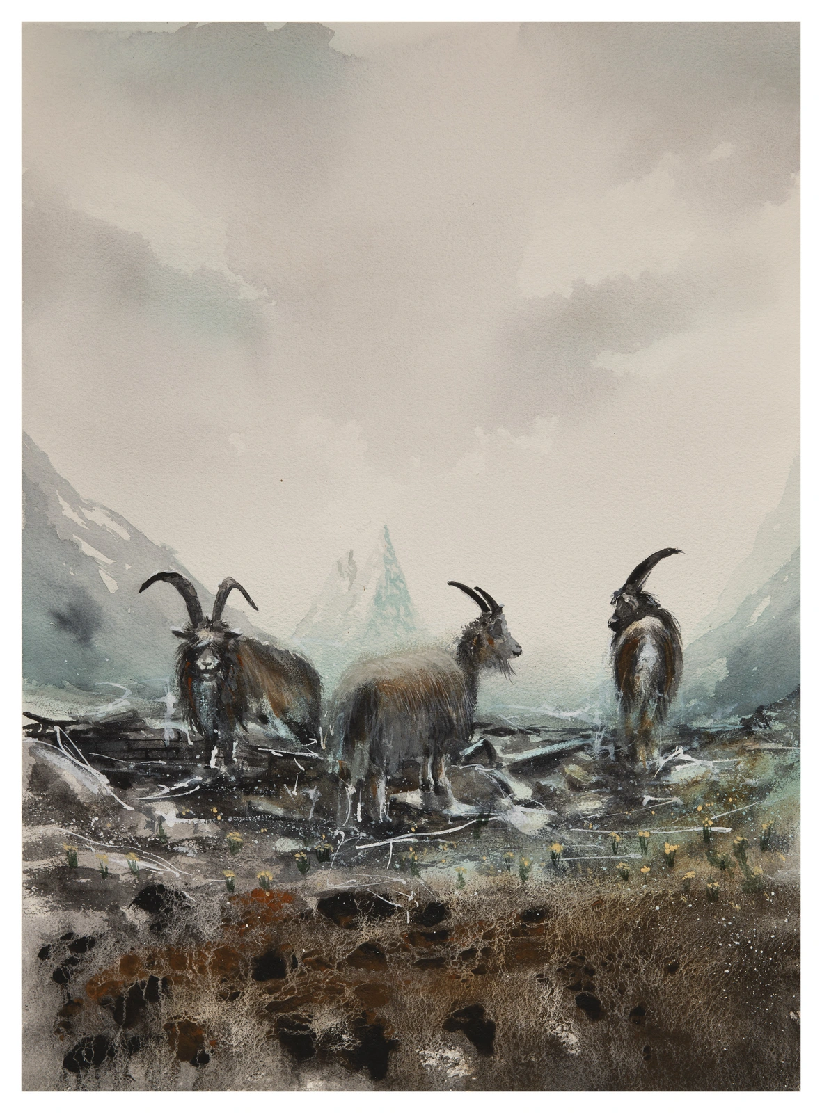 Akvarell Mountain goats av Mattias Norén