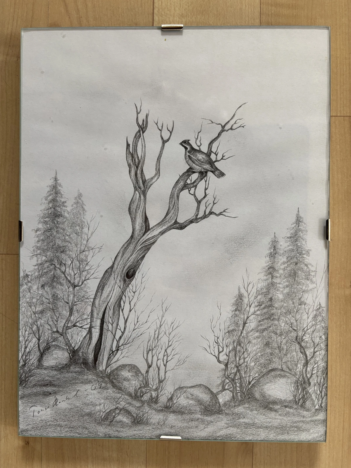 Hjärpe, skog av Tomas Rönnlund
