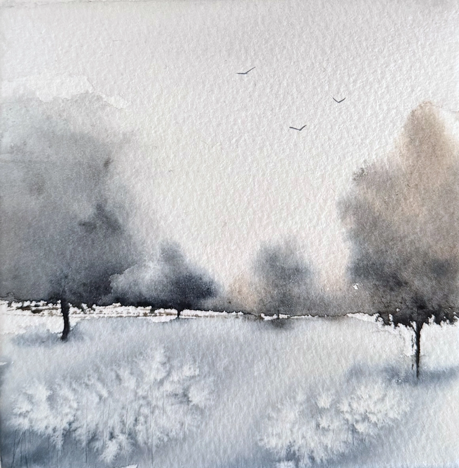 Akvarell Softly av Anna-Karin Hallström