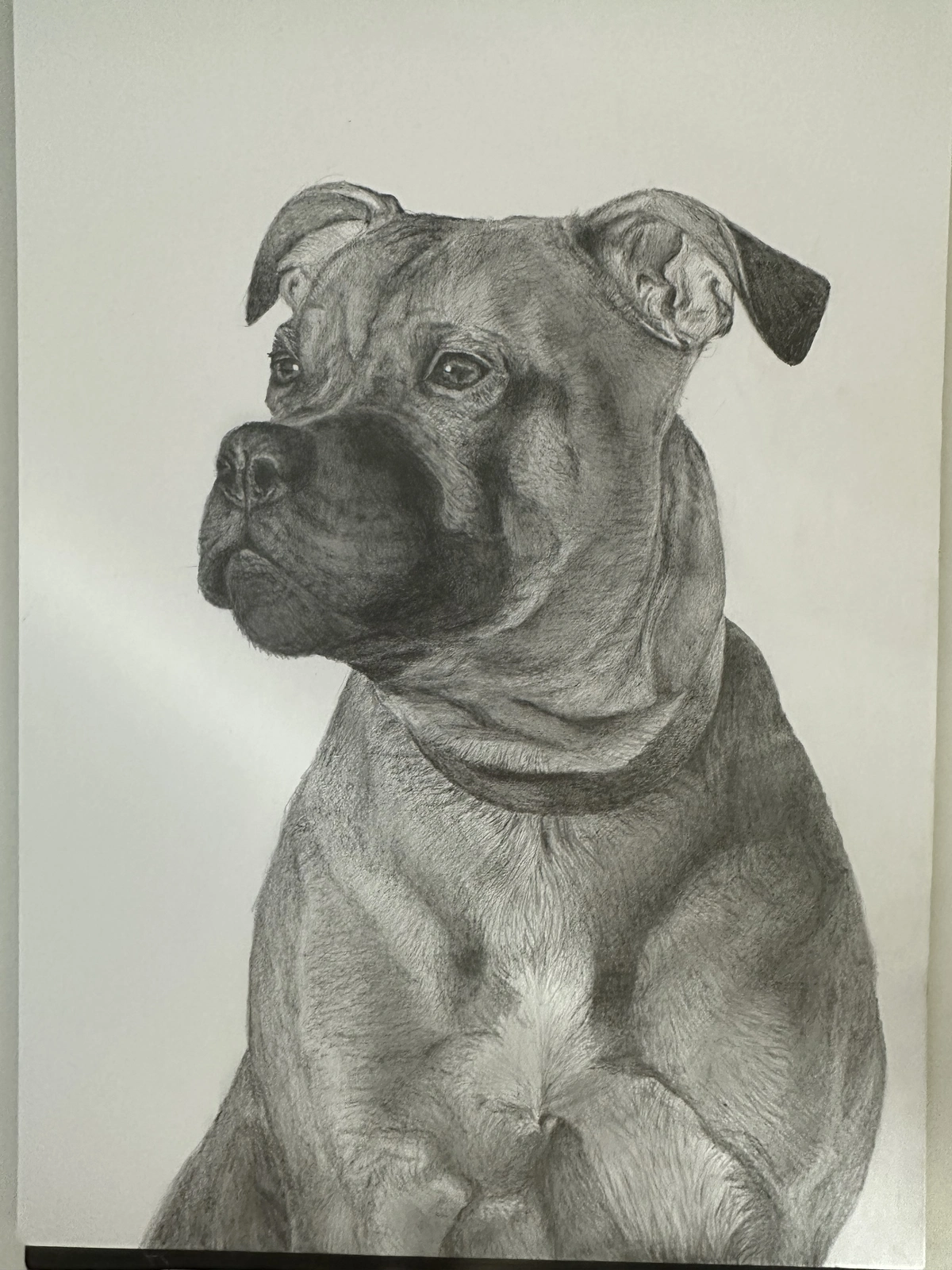 Dog av Frida Svanström