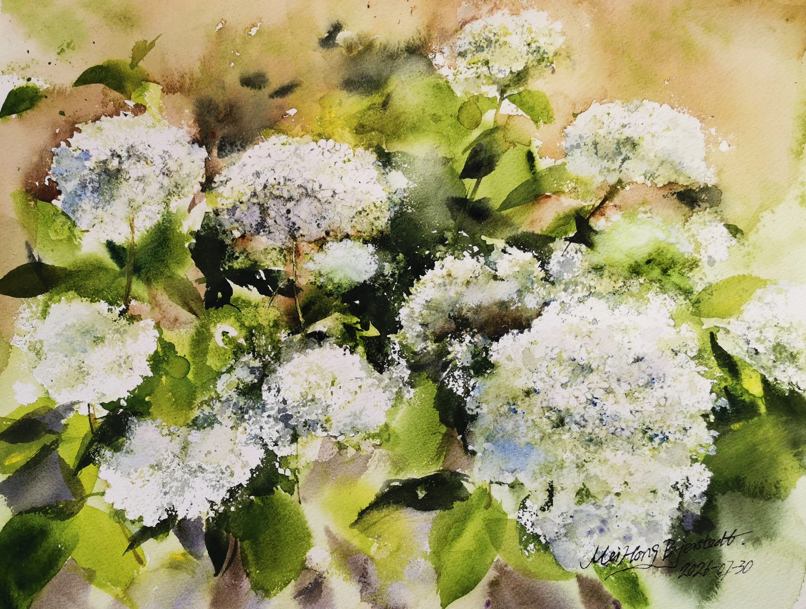 Akvarell Hortensia i min trädgården av Mei Hong Bjerstedt