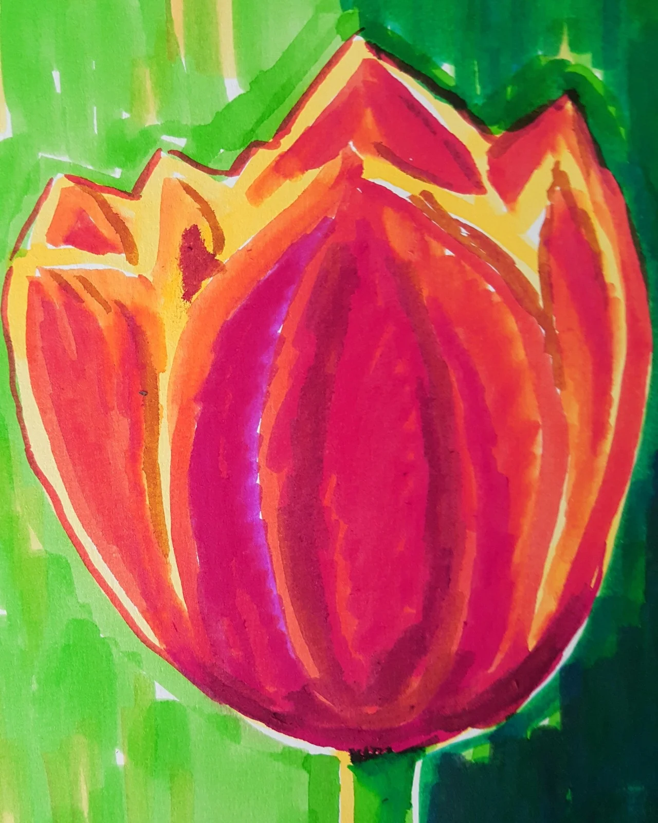 Single tulip av Anna Pellnäs