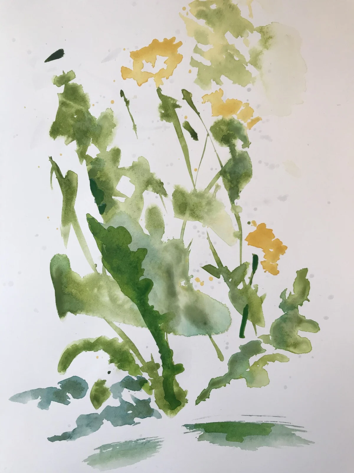 Akvarell Maskros av Susanna Prestor