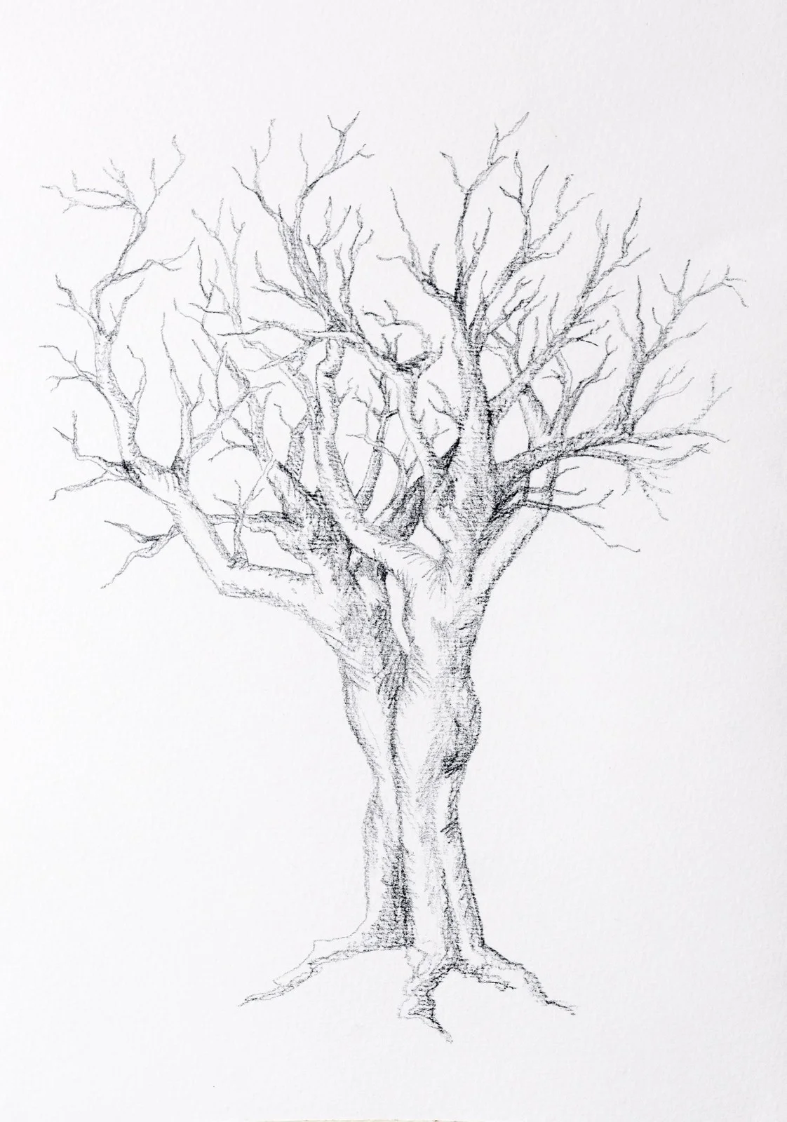 Growing together av Marie-Christine Zandian