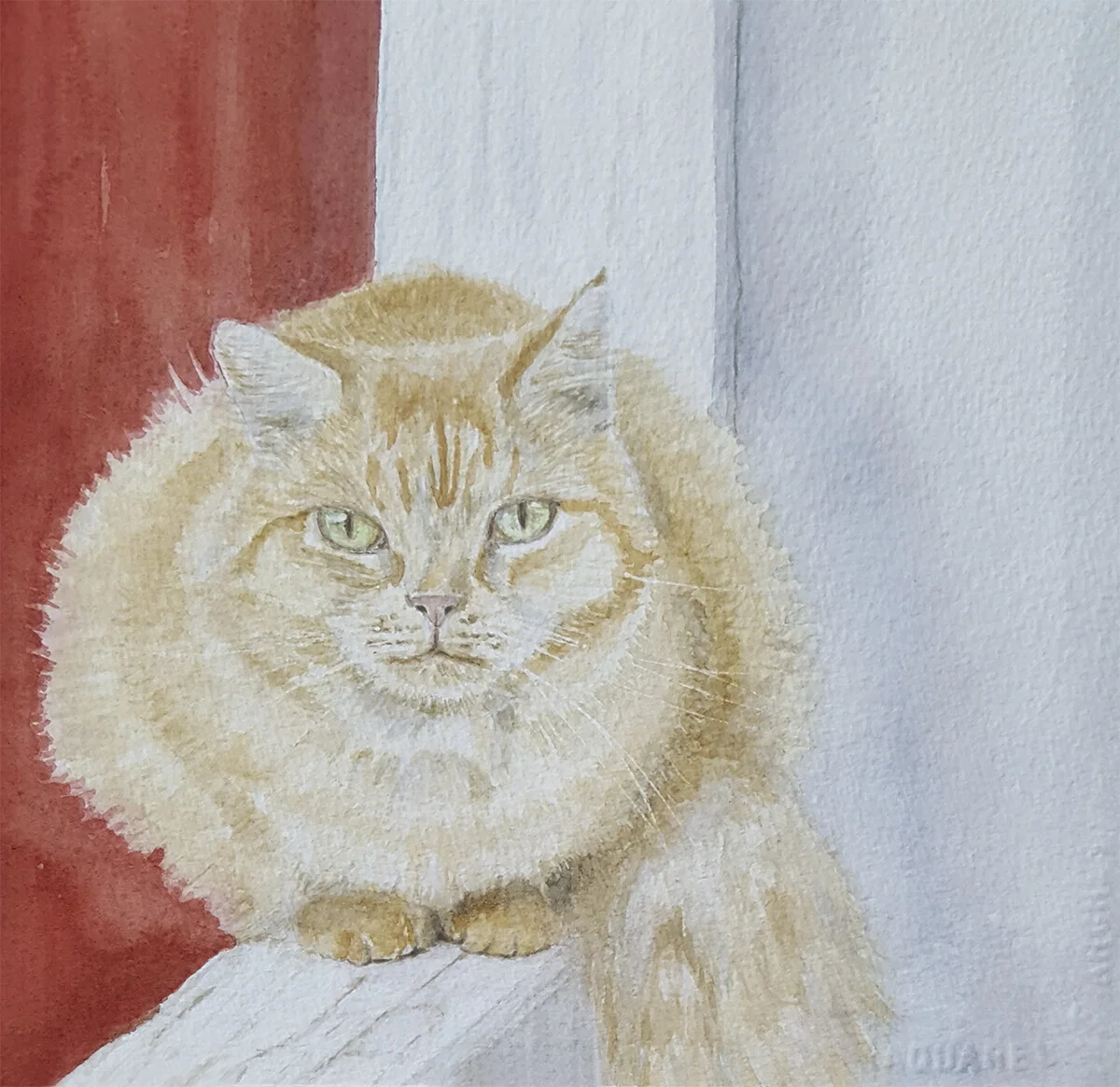 Akvarell Röda katten Svante av Tess Enarsson