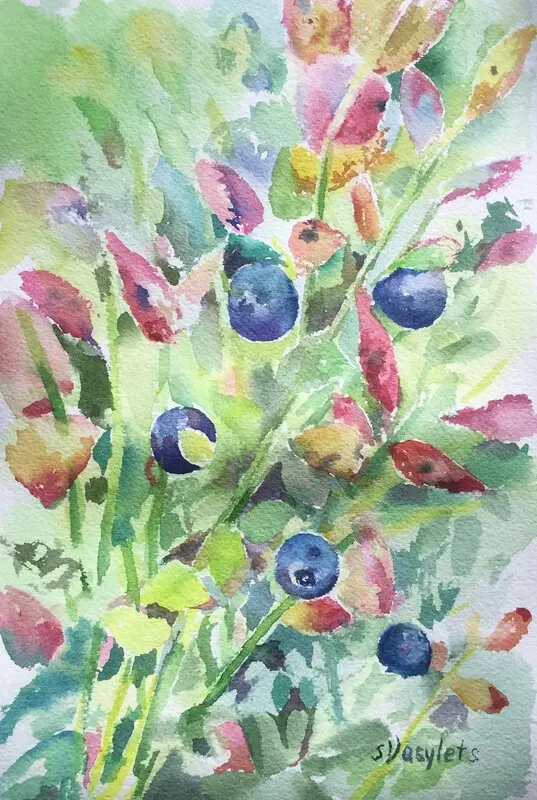 Akvarell Blåbärsris av Svitlana Vasylets