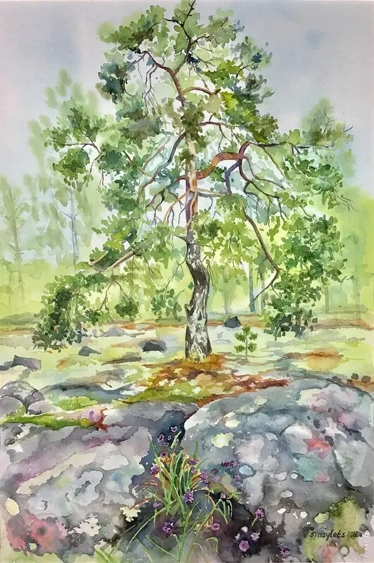 Akvarell Martall på Åland av Svitlana Vasylets