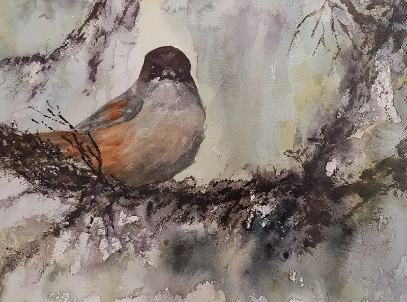 Akvarell Lavskrika av Nina Laestander