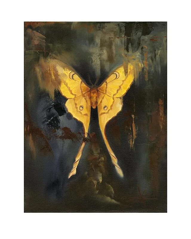 Oljemålning Argema av Frida Johansson-Kuoppala