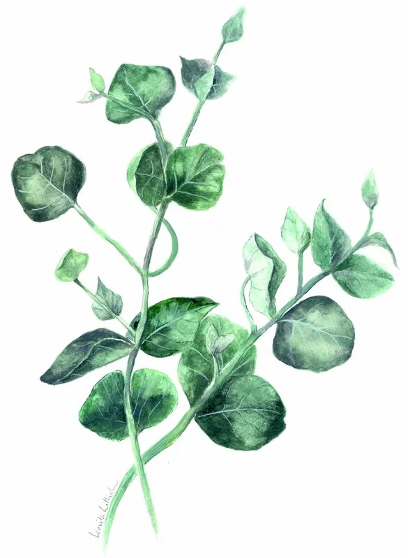 Akvarell Greens av Lenita Lillich