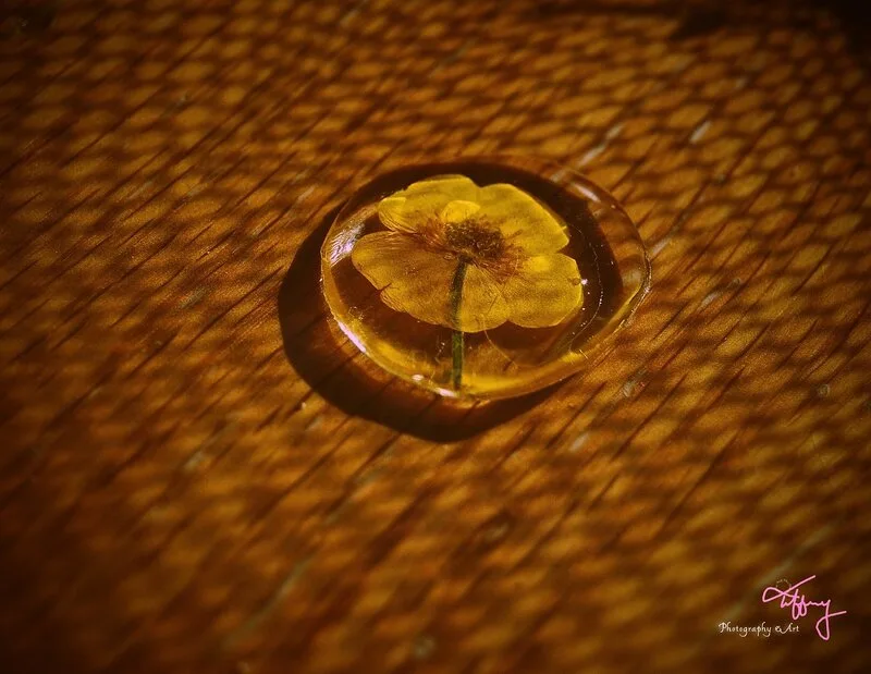 ❀Buttoncup av Tiffany Leiderby