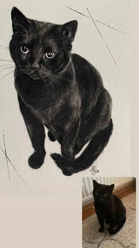 Monty av Ann-Sofie Stjernkvist