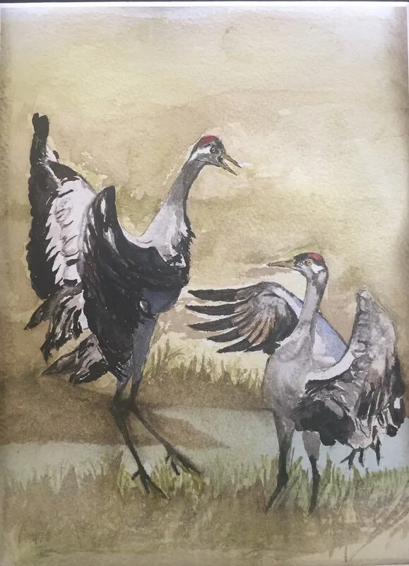 Akvarell Trandans av Anita Grenter