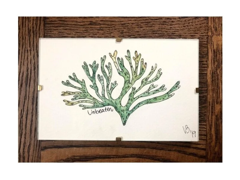 Akvarell Unbeaten av Viktoria Boström