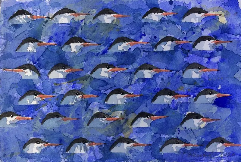 Akvarell Många tärnor # 2 av Tord Wennerblom