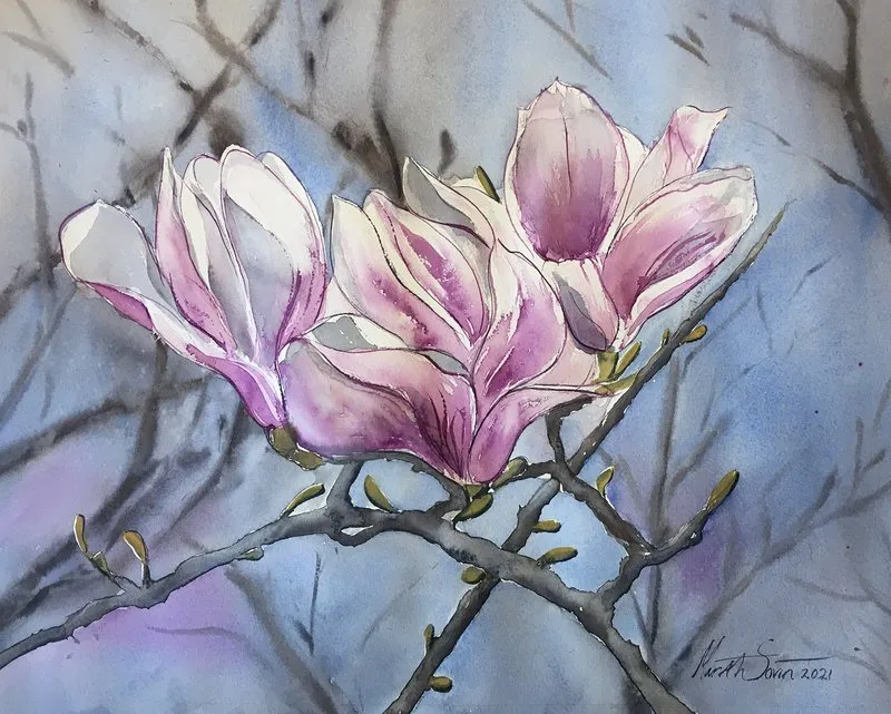 Akvarell Magnoliaträd av Märith Sovin