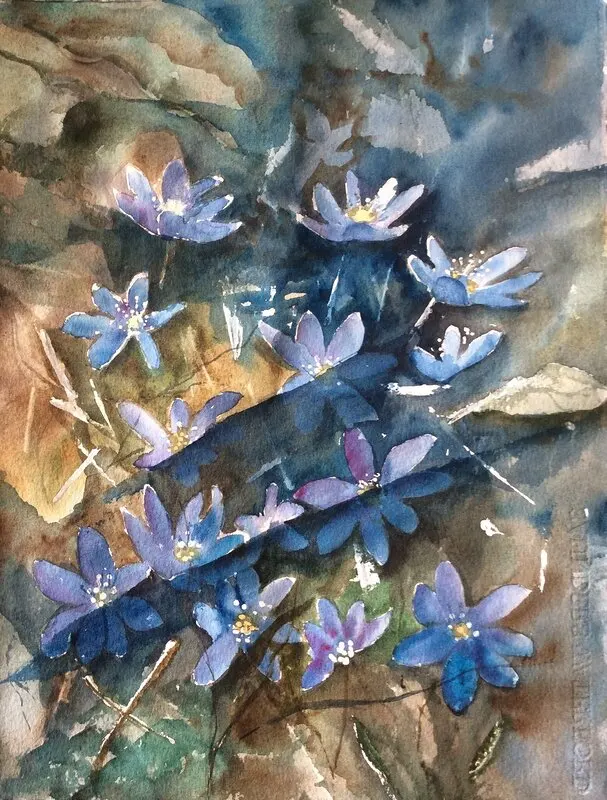 Akvarell Blåsippor i sin miljö av Margareta Mattsson