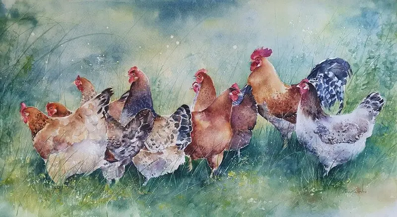 Akvarell Hönsflock i Klåvnasten av Lena Kalenius