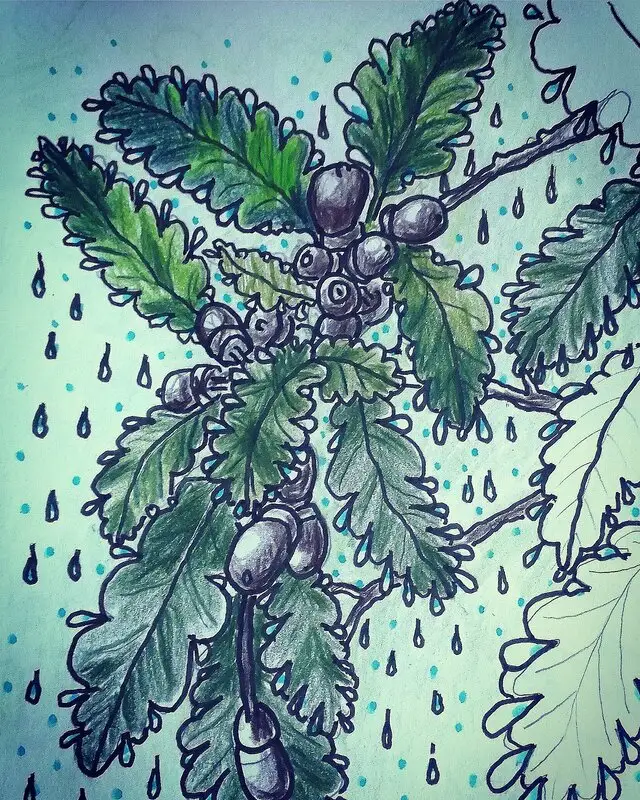 Skogen gråter... av Perry Stein