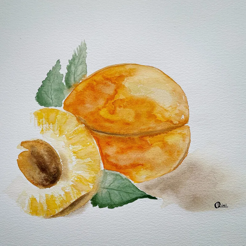 Akvarell No.49 -  Prunus Persica av Sofia Oliai