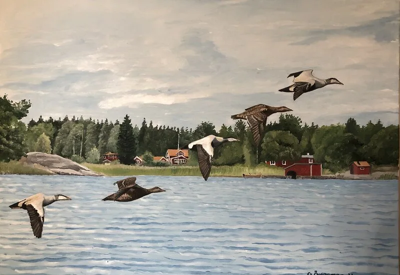 Oljemålning Ejdrar på flykt av Göran Österman