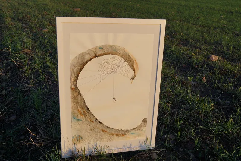 Akvarell Korsspindeln av Jonathan Gustafsson