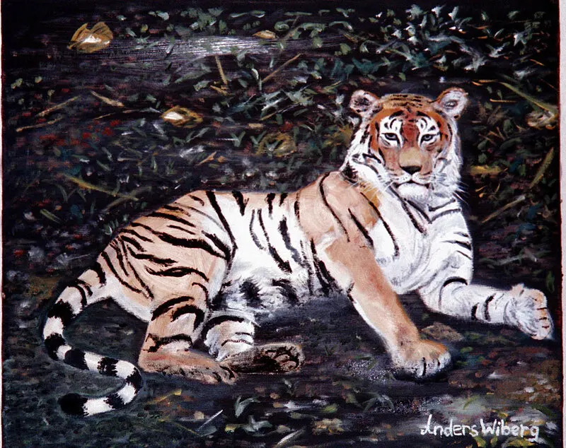 Oljemålning Liggande tiger av Anders Wiberg