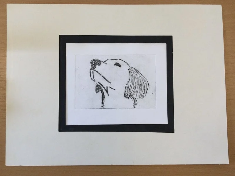 Sara Solsjäl Helgefalk