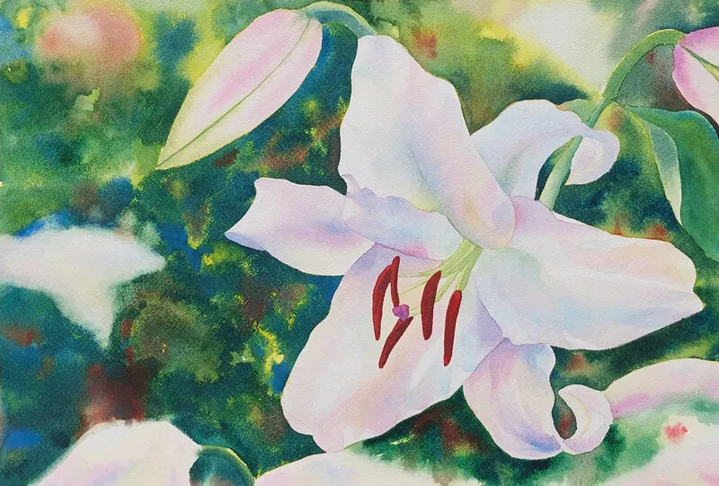 Akvarell Casa Blanca Lily av Linus Wernersson