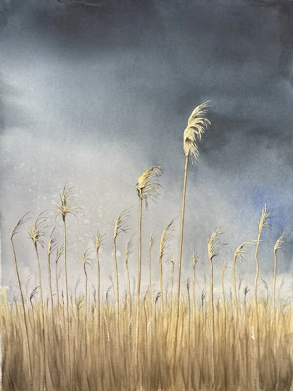 Akvarell Vass av Jeanette Malmberg