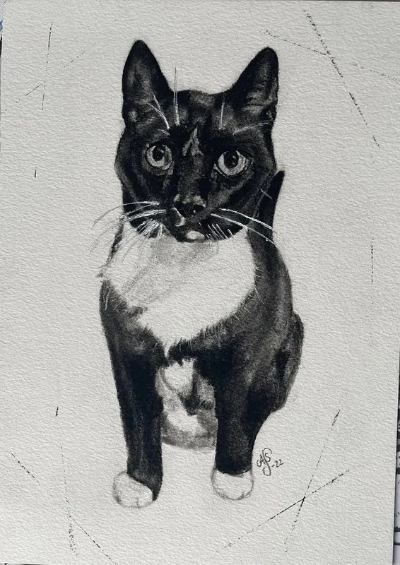 Katt av Ann-Sofie Stjernkvist