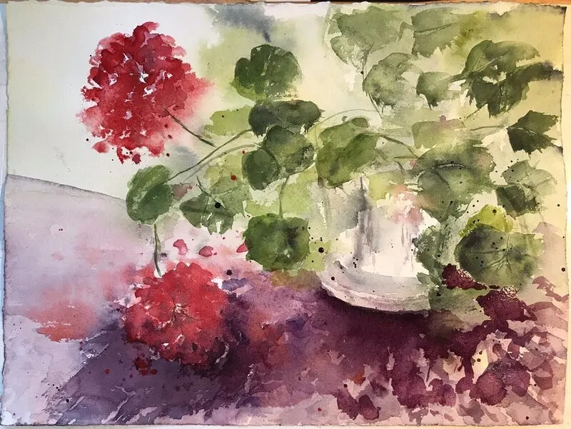 Akvarell Pelargonen av Annika Glavstedt